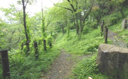 DSCN0741.JPG